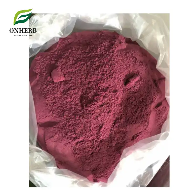 Black Elderberry Extract Elderberry Anthocyanin Powder