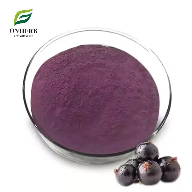 Black Currant Extract Powder