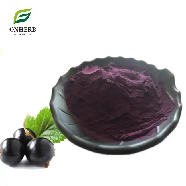 Black Currant Extract Anthocyanin Powder 