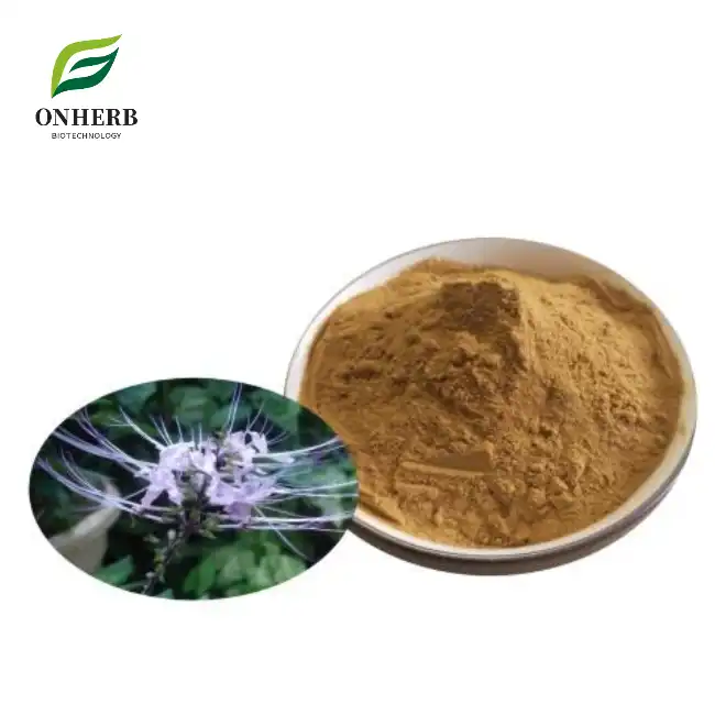 Java Tea Orthosiphon Aristatus Extract Powder