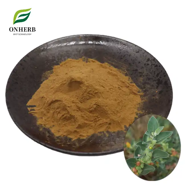 Withania Somnifera Root Extract Powder