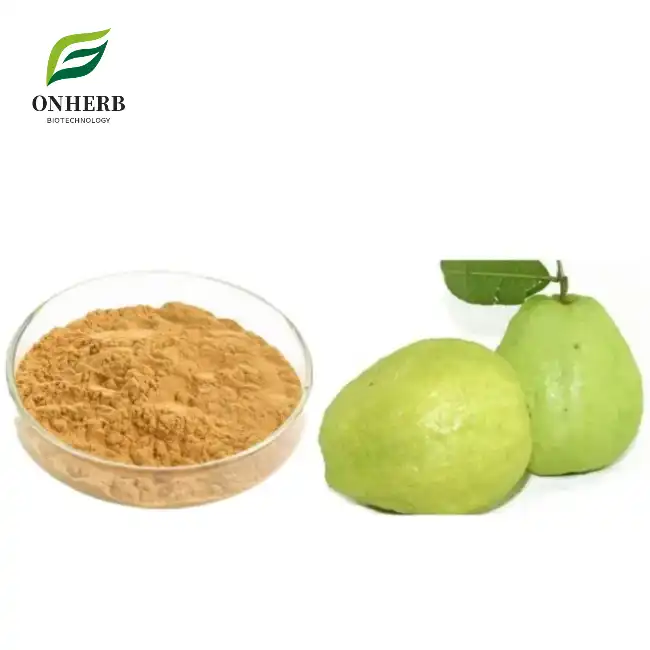 Guava Extract Powder