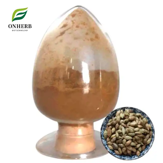 Xanthium strumarium/Siberian Cocklebur Fruit Extract Powder