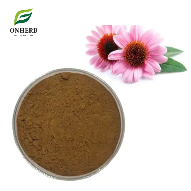 Organic Echinacea Root Extract Powder