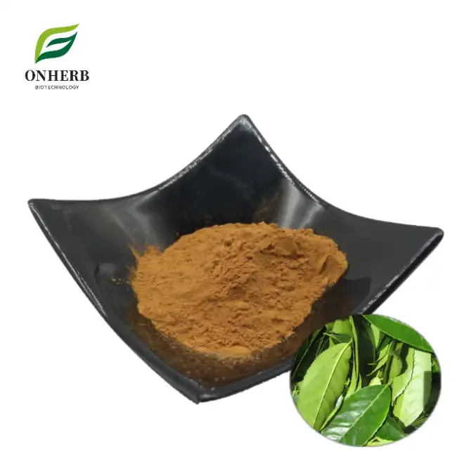 Ilex Guayusa Leaf Extract Powder