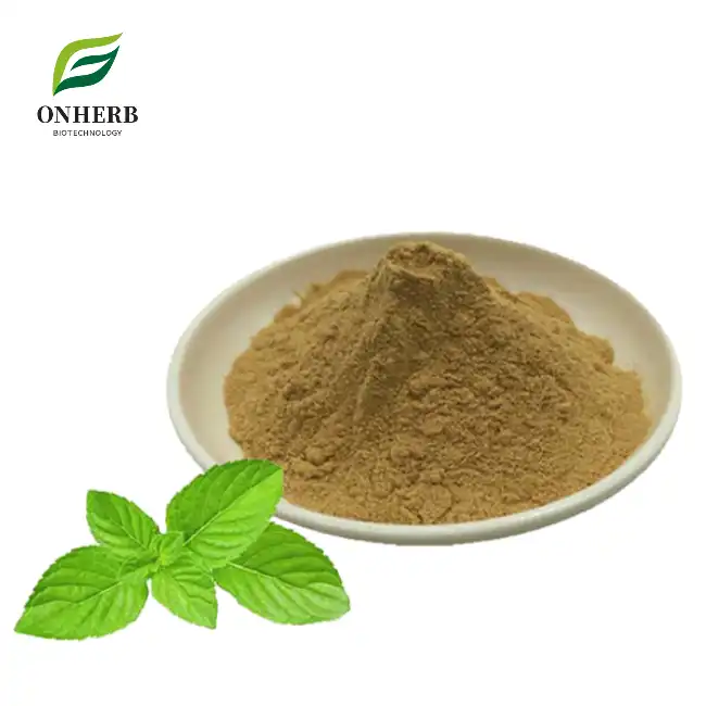 Mint Leaf Extract Powder