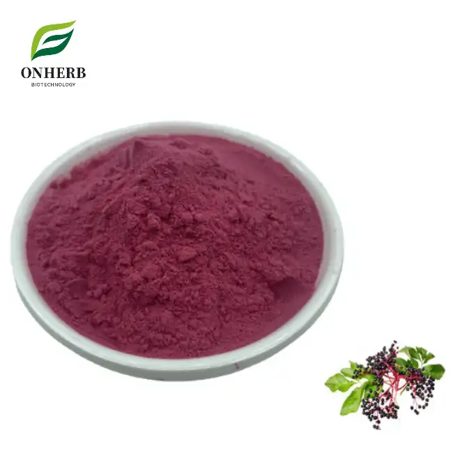 Black Elderberry Fruit Extract Powder