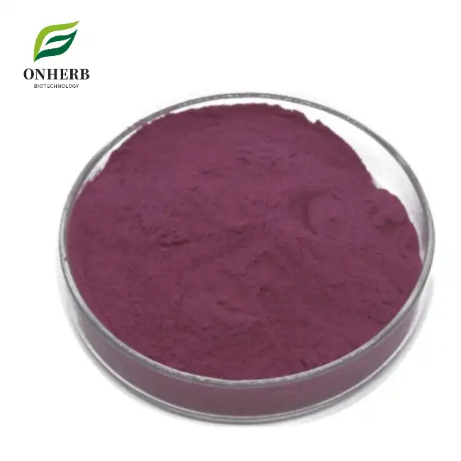 Blackcurrants Fruit Powder
