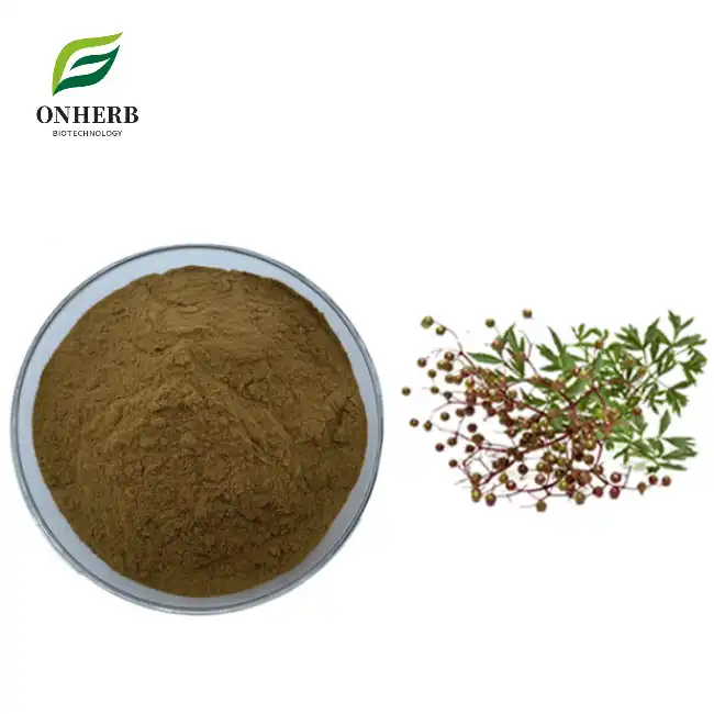 Organic European ElderBerry Extract Powder