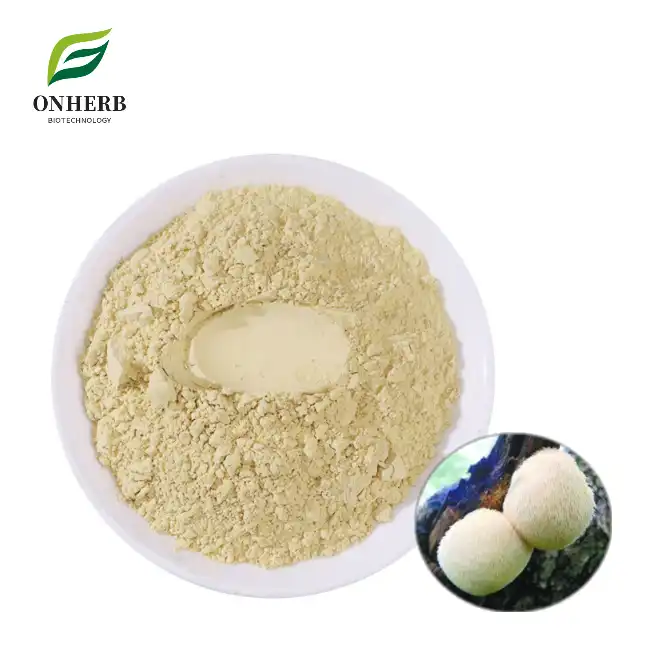 Organic Hericium Erinaceus Powder