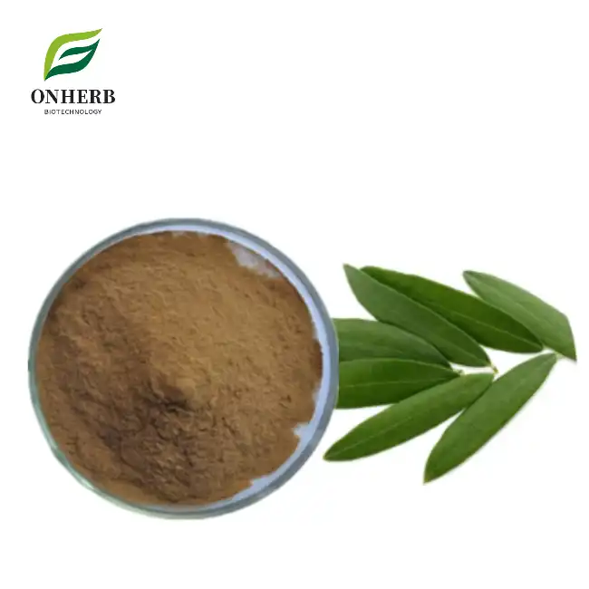 Olive Leaf Extract Oleuropein Powder