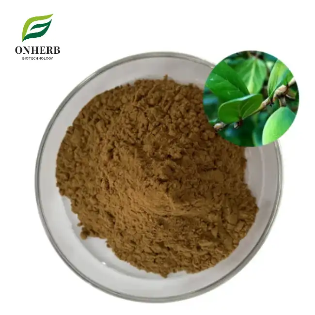 Gymnema Extract Powder