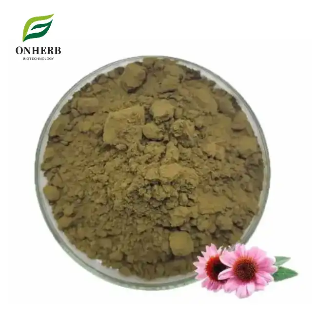Echinacea herb Extract Powder