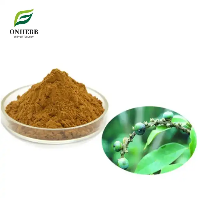 Lithocarpus litseifolius Extract Powder