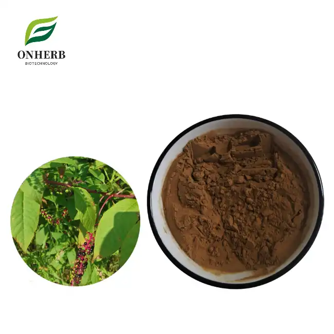 Poke Root Extract Powder