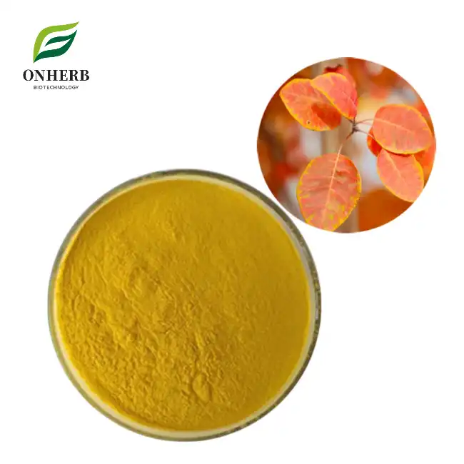 Smoketree Extract Fisetin Powder 