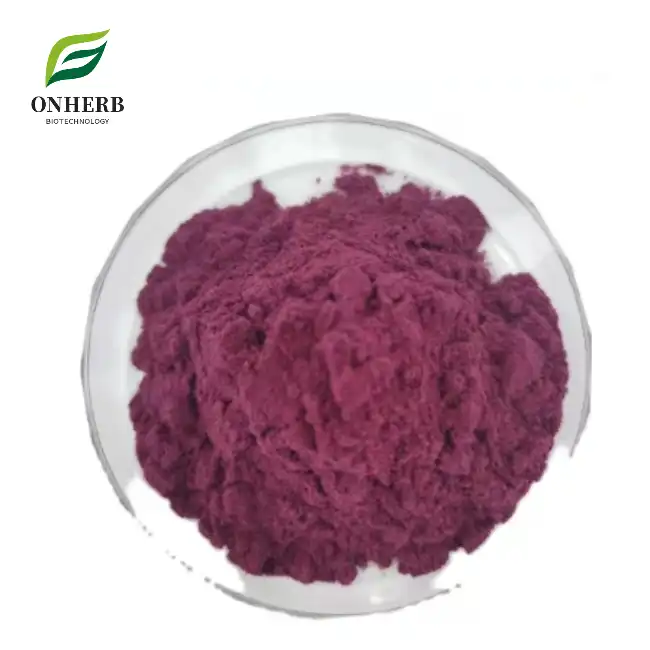 Elderberry fruit Extract Anthocyanidins Powder
