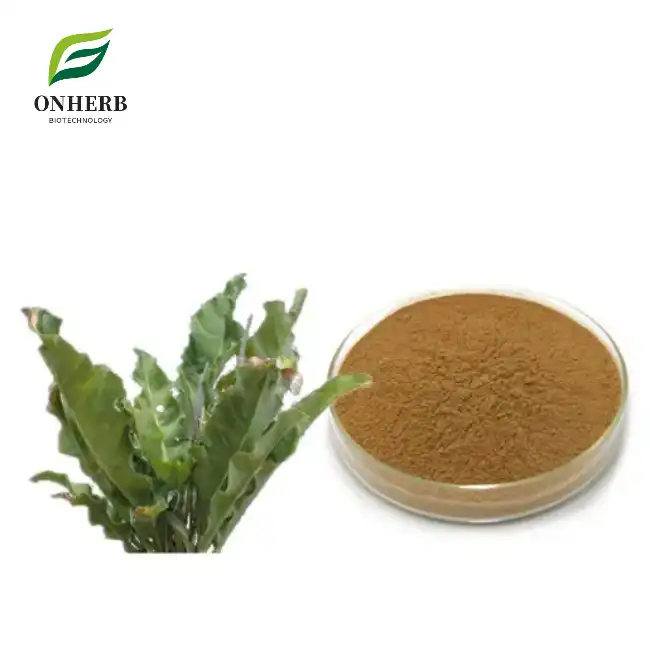 Folium Isatidis Extract Powder