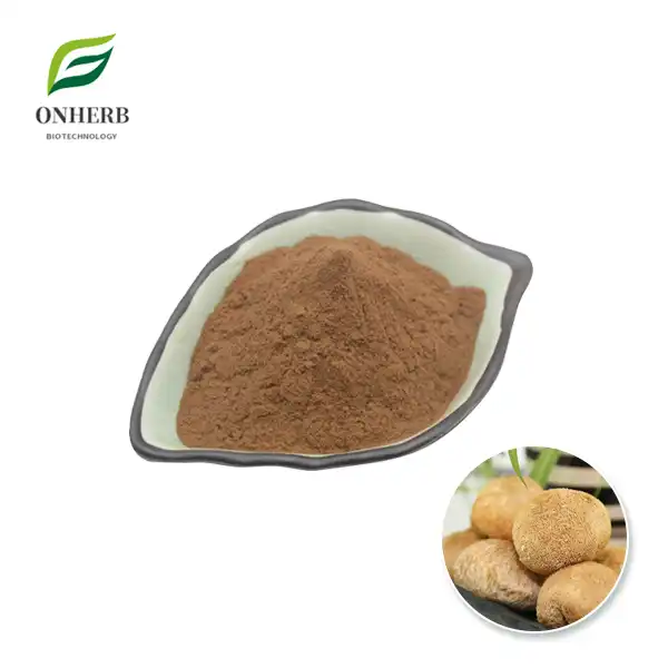 Polvere di estratto di fungo criniera di leone